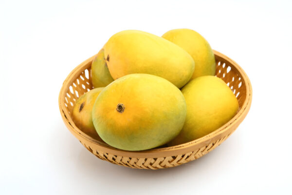 Dussehri Mango - Image 2