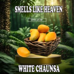 Late Season Chaunsa (White Chaunsa)